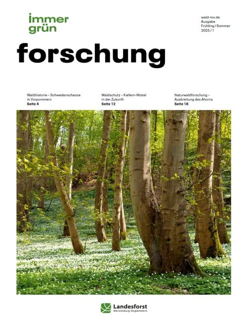 immergrün forschung