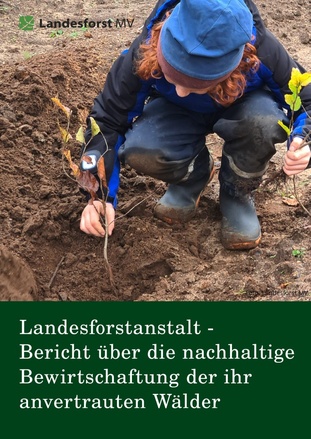 Nachhaltsbericht 2024