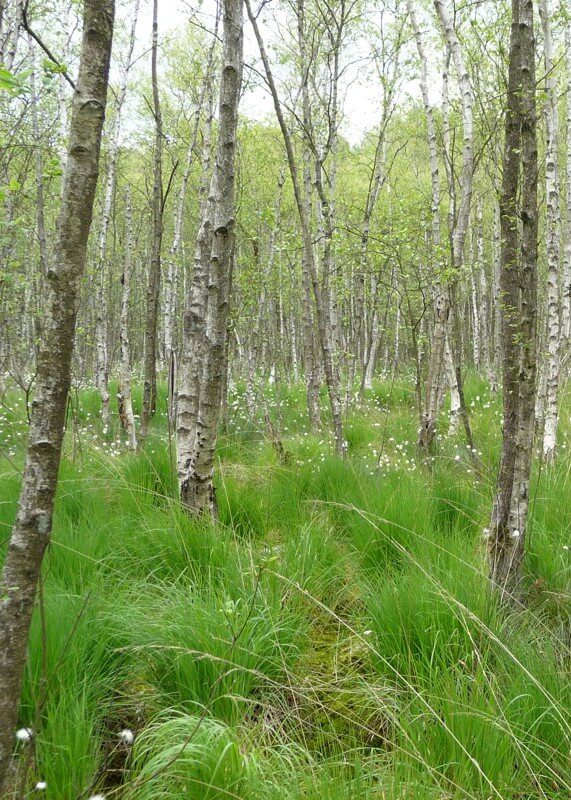 Natura 2000 Ausgleichszahlungen