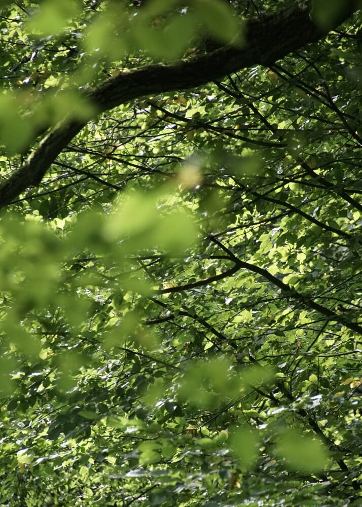 news-Landschaftspflegeangebote