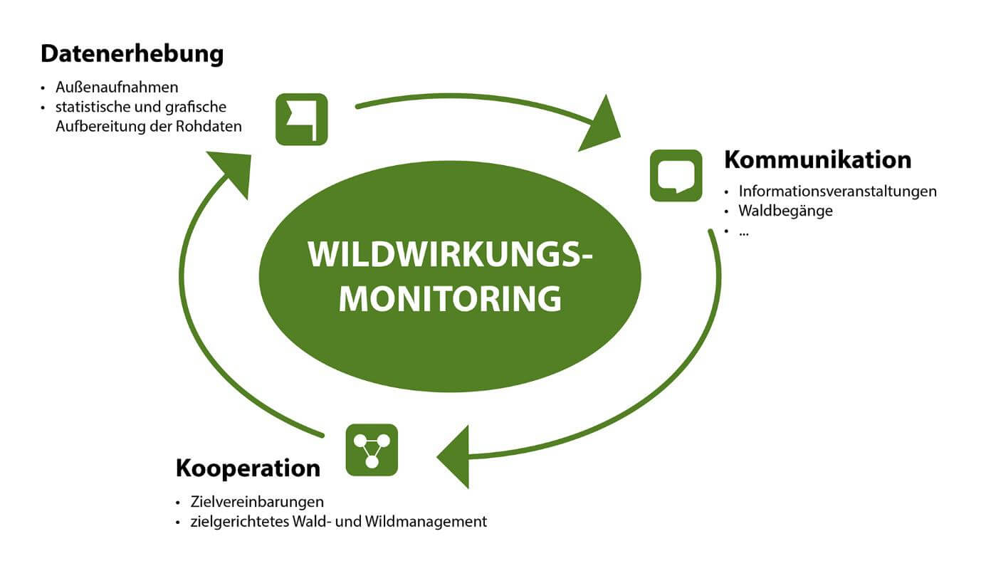 wildwirkungsmonitoring