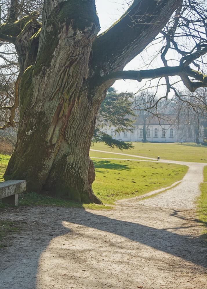 Schlosspark zu Putbus