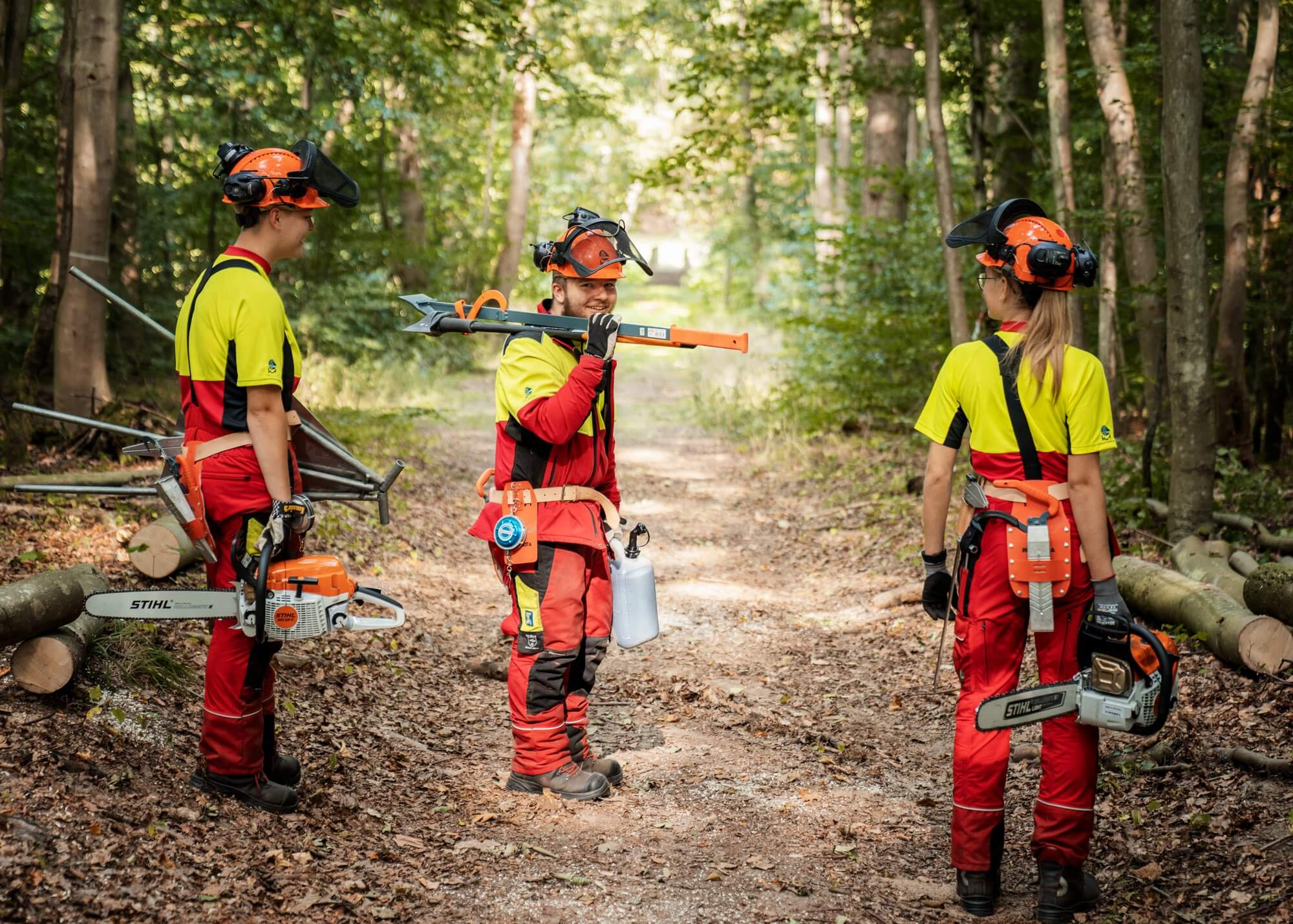 Bild Berufe im Wald